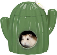 Keramikhaus Hamster Kaktusform Tunnel 11*14.5cm.parseColorSize(Großen