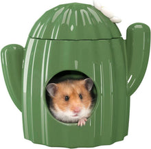 Keramikhaus für Hamster | Kaktusform | Große Eingänge | Kühles Bett