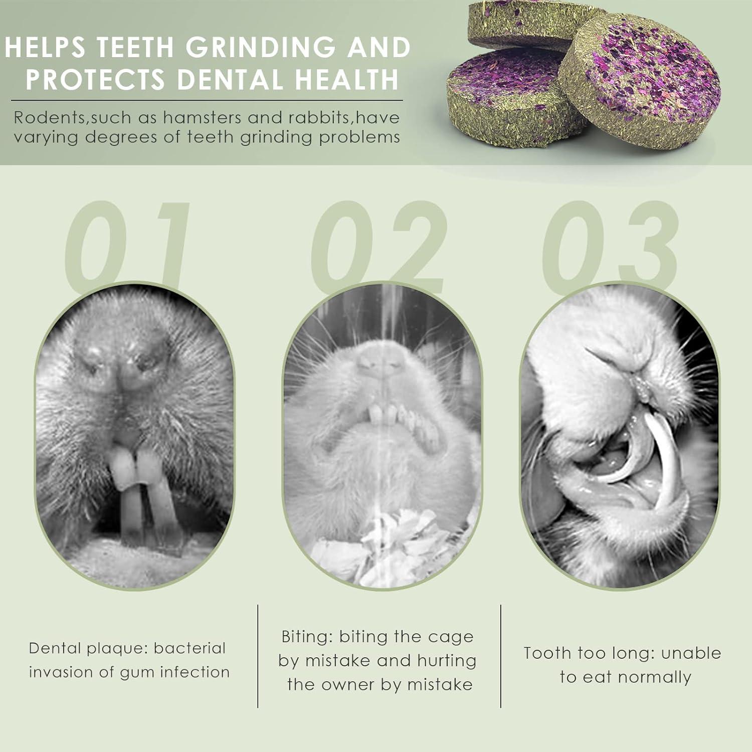 24x ERKOON Natürliches Kaninchen Spielzeug Heu Sticks Karotten Rosengras Molar