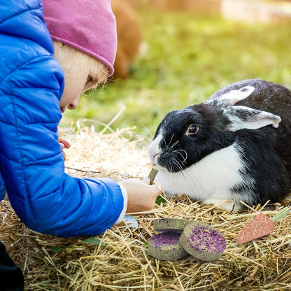 24x ERKOON Natürliches Kaninchen Spielzeug Heu Sticks Karotten Rosengras Molar