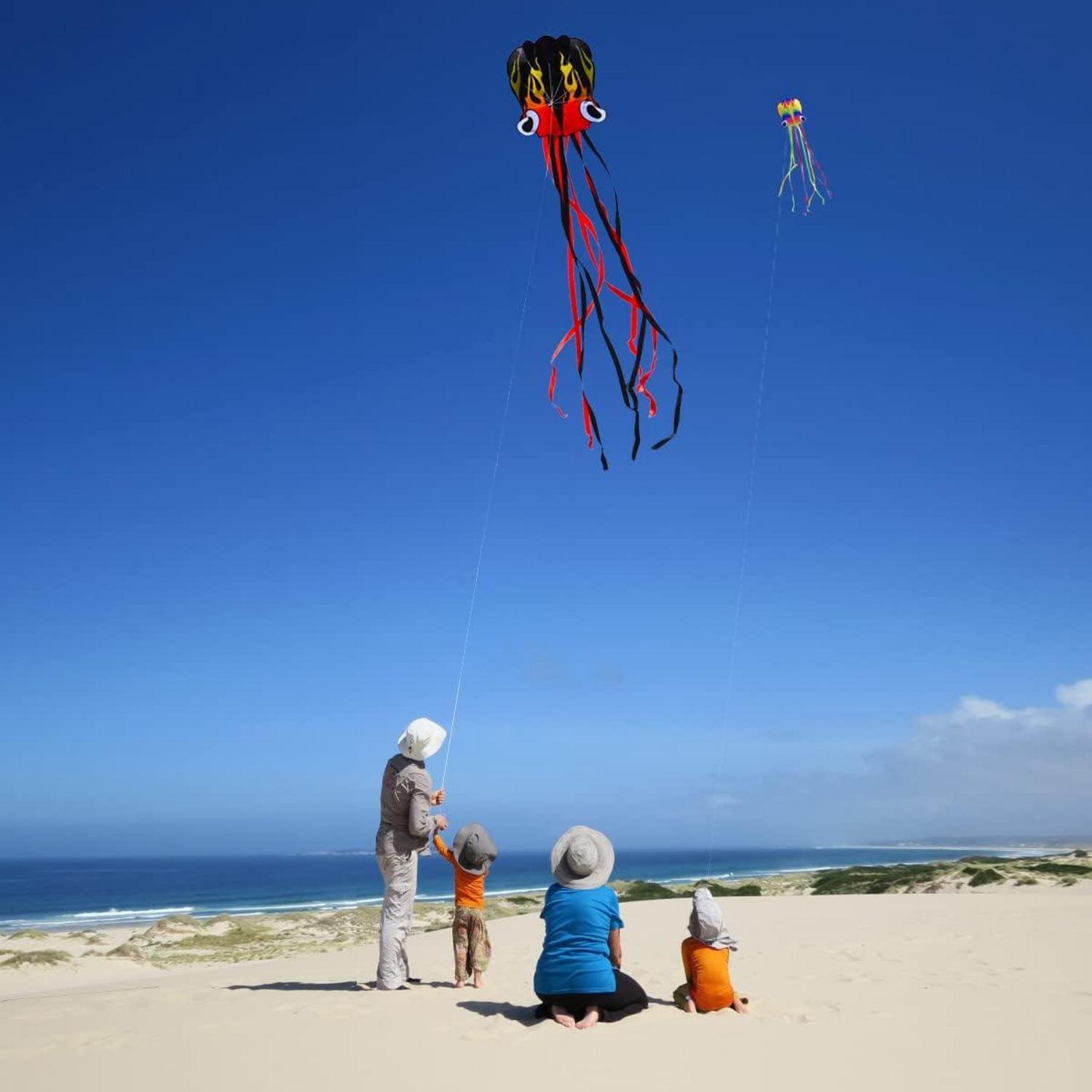 Großes Drachenflug-Regenbogen-Kite mit langen bunten Schwänzen