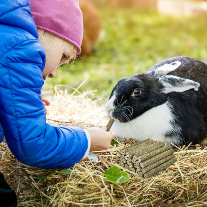 38 Stück Timothy Heu Sticks für Kleintiere Zähnepflege Leckerli