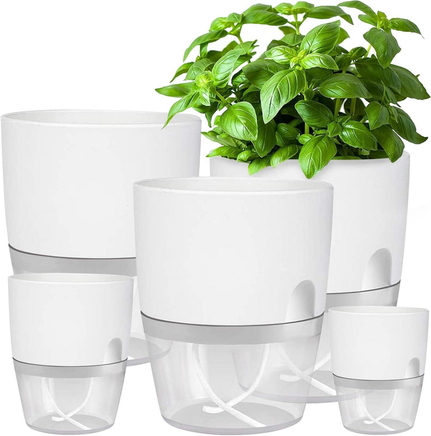 Selbstbewässernder Kräutertopf für die Küche, 5er Set