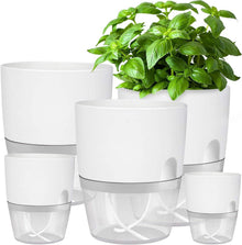 Selbstbewässernder Kräutertopf für die Küche, 5er Set