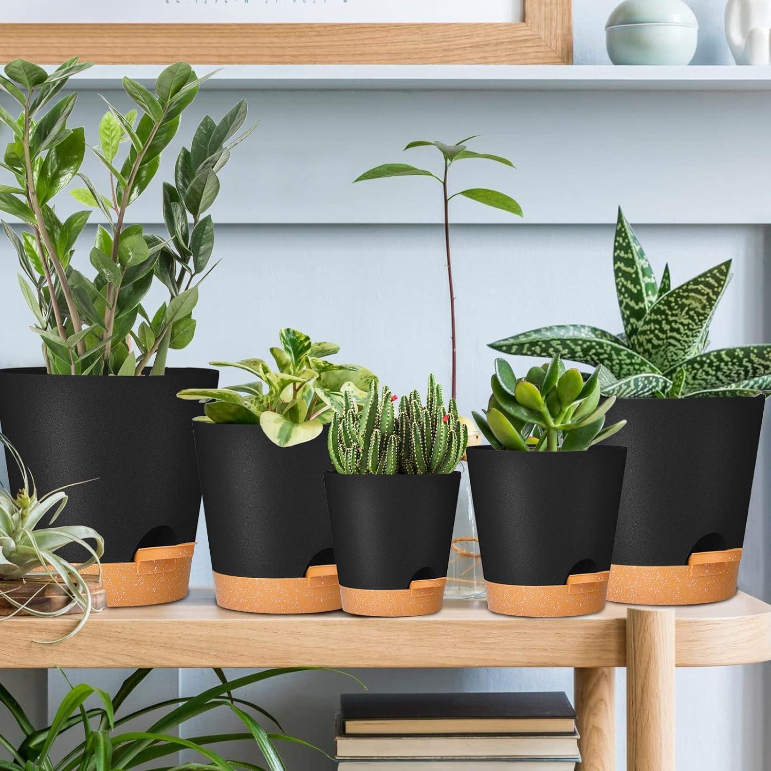 5er Set Selbstbewässernde Pflanztöpfe 12.7-17.8cm Schwarz Kunststoff