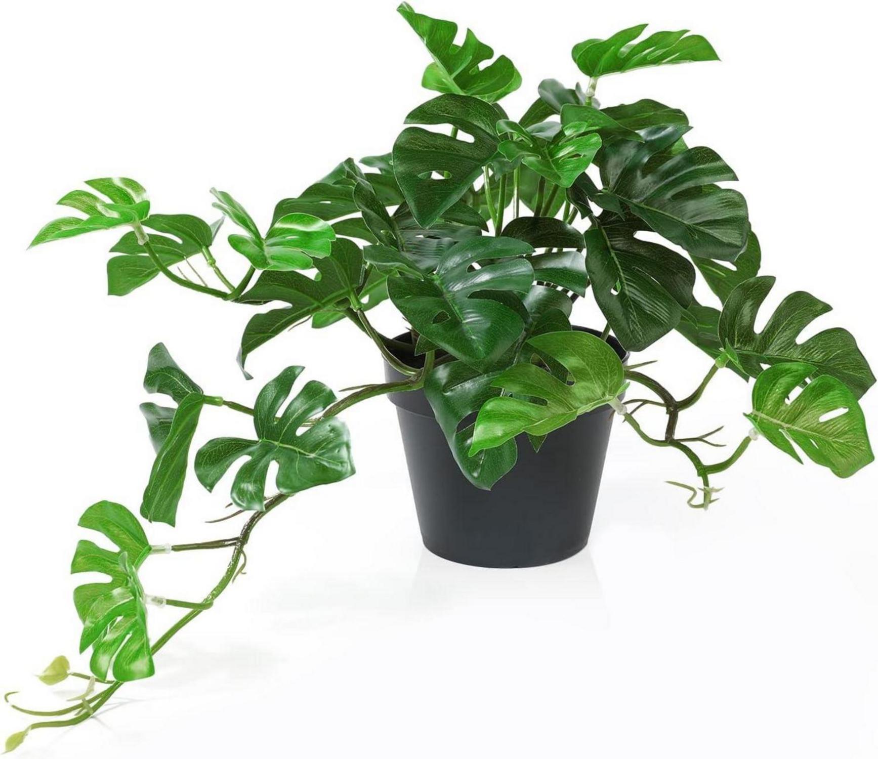 Kunstpflanze Monstera 26.6cm Künstliche Pflanzen Deko Topf