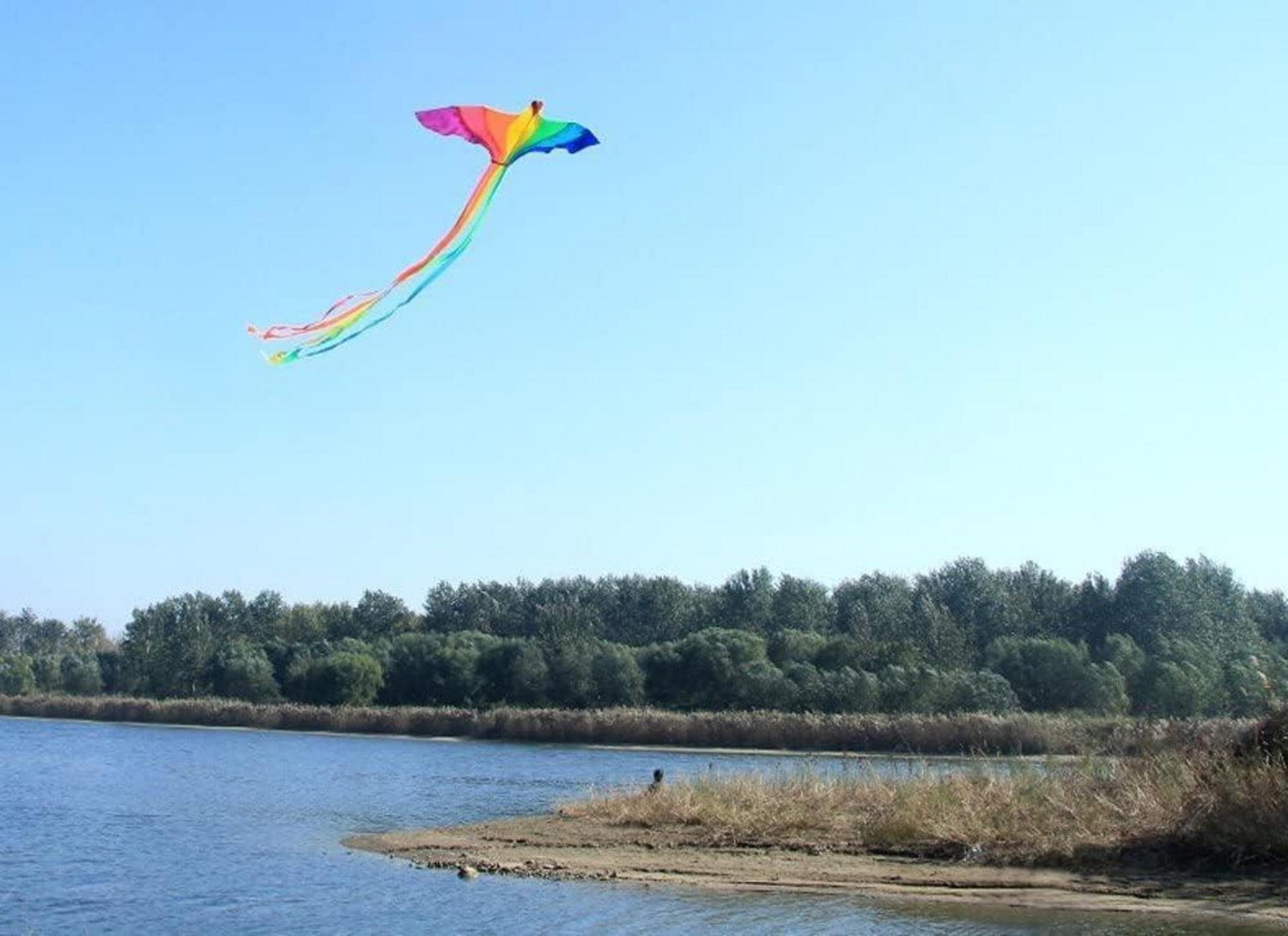 Touch the Sky Drachen 74 Zoll Starker Phoenix Flugdrachen für Kinder und Erwachsene