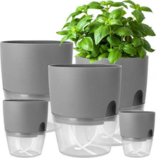 Selbstbewässernder Kräutertopf Set für die Küche, 5er Pack