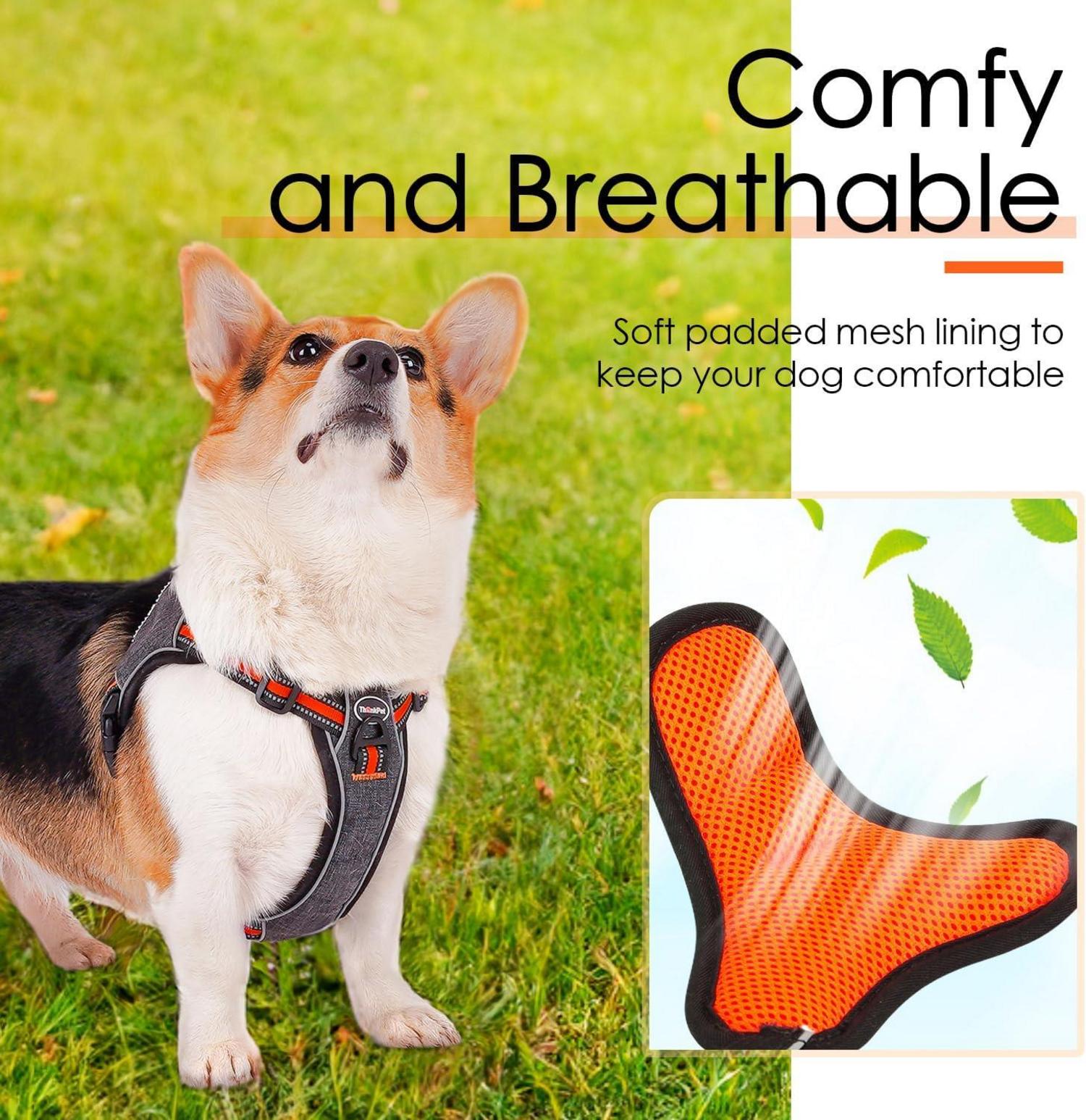 ThinkPet No-Pull Reflektierendes Step-in Hundegeschirr Orange M