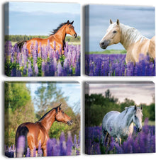 Moderne Leinwandbilder mit Lila Lavendel und Pferd Motiv - 4-teilig