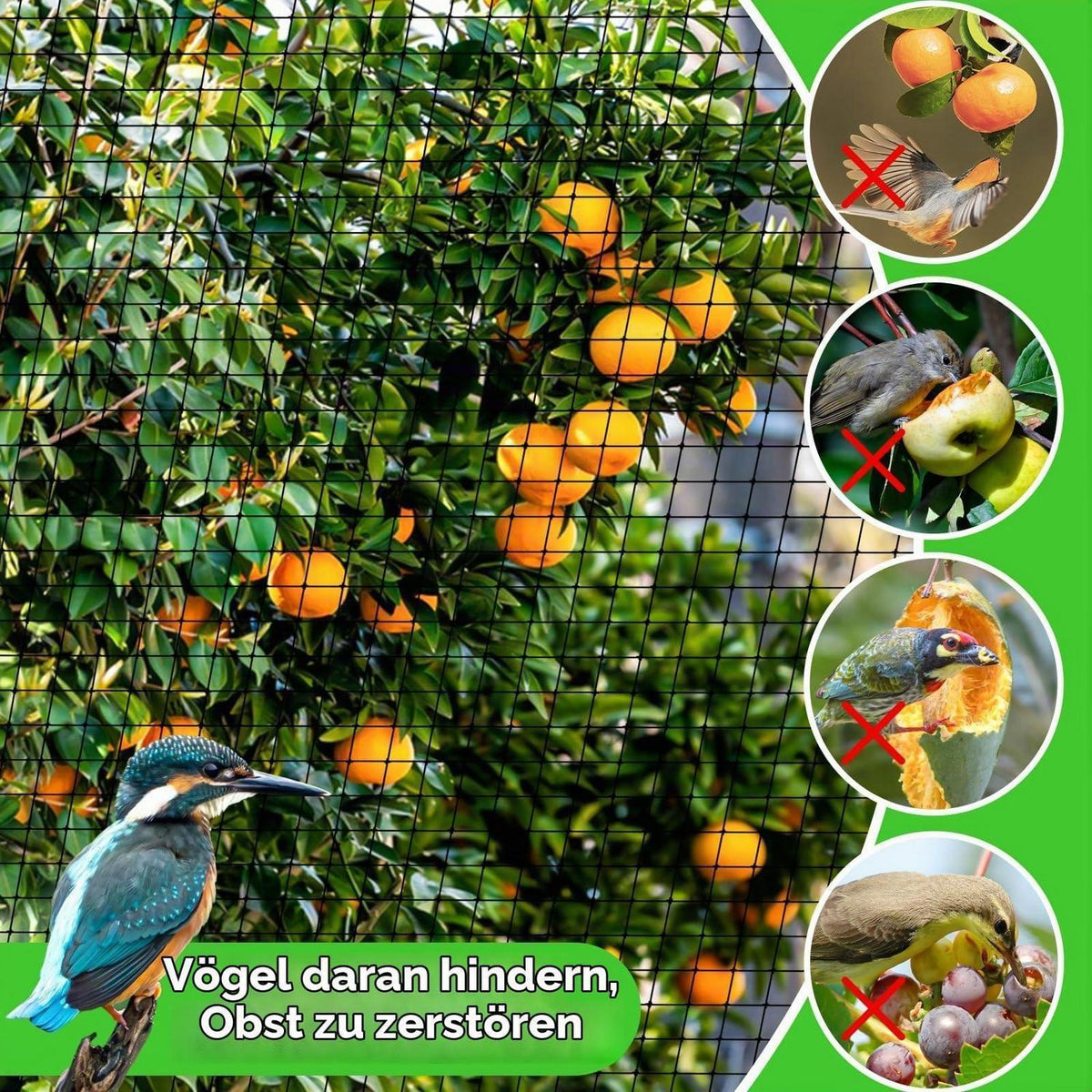 5m x 10m Vogelschutznetz – Reißfestes Pflanzennetz für Garten
