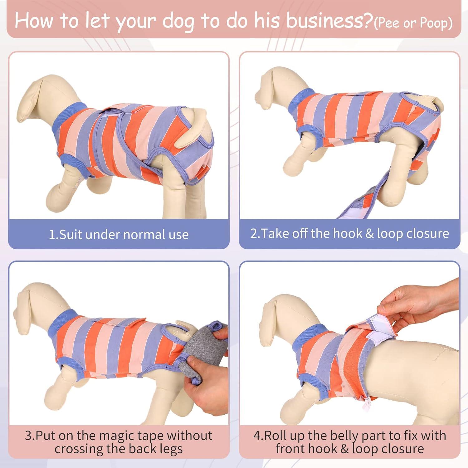 Hundebody nach OP Kastration Rüde Hündin Katzenbody XS Orange&Blau