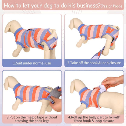 Hundebody nach OP Kastration Rüde Hündin Katzenbody XS Orange&Blau