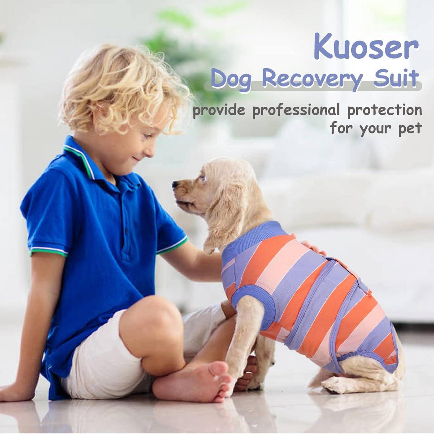 Hundebody nach OP Kastration Rüde Hündin Katzenbody XS Orange&Blau