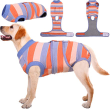 Hundebody nach Operation Kastration Rüde Hündin 50-60cm Blau Orange