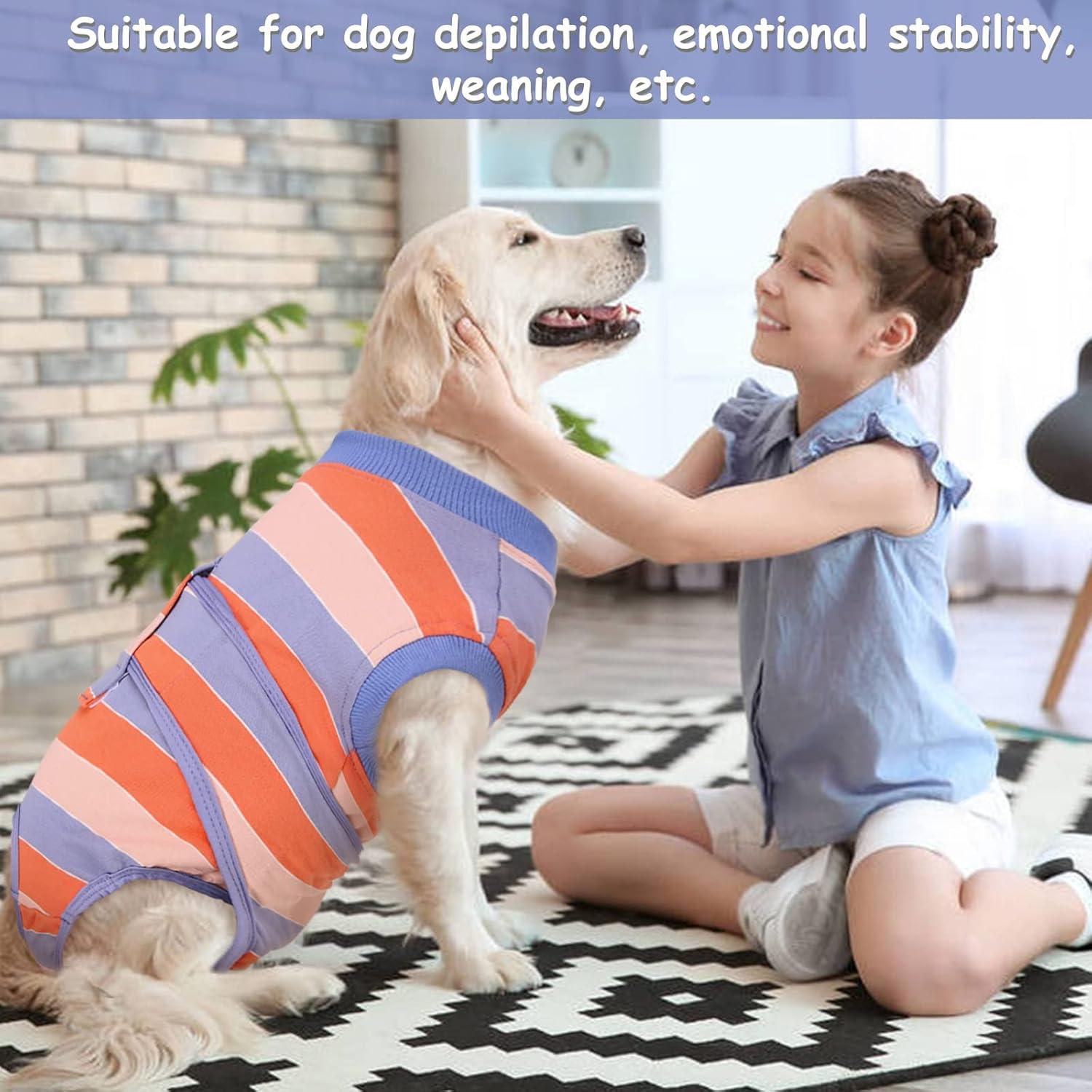 Hundebody Op Kastration Rüde Hündin Atmungsaktiv Orange Blau XL