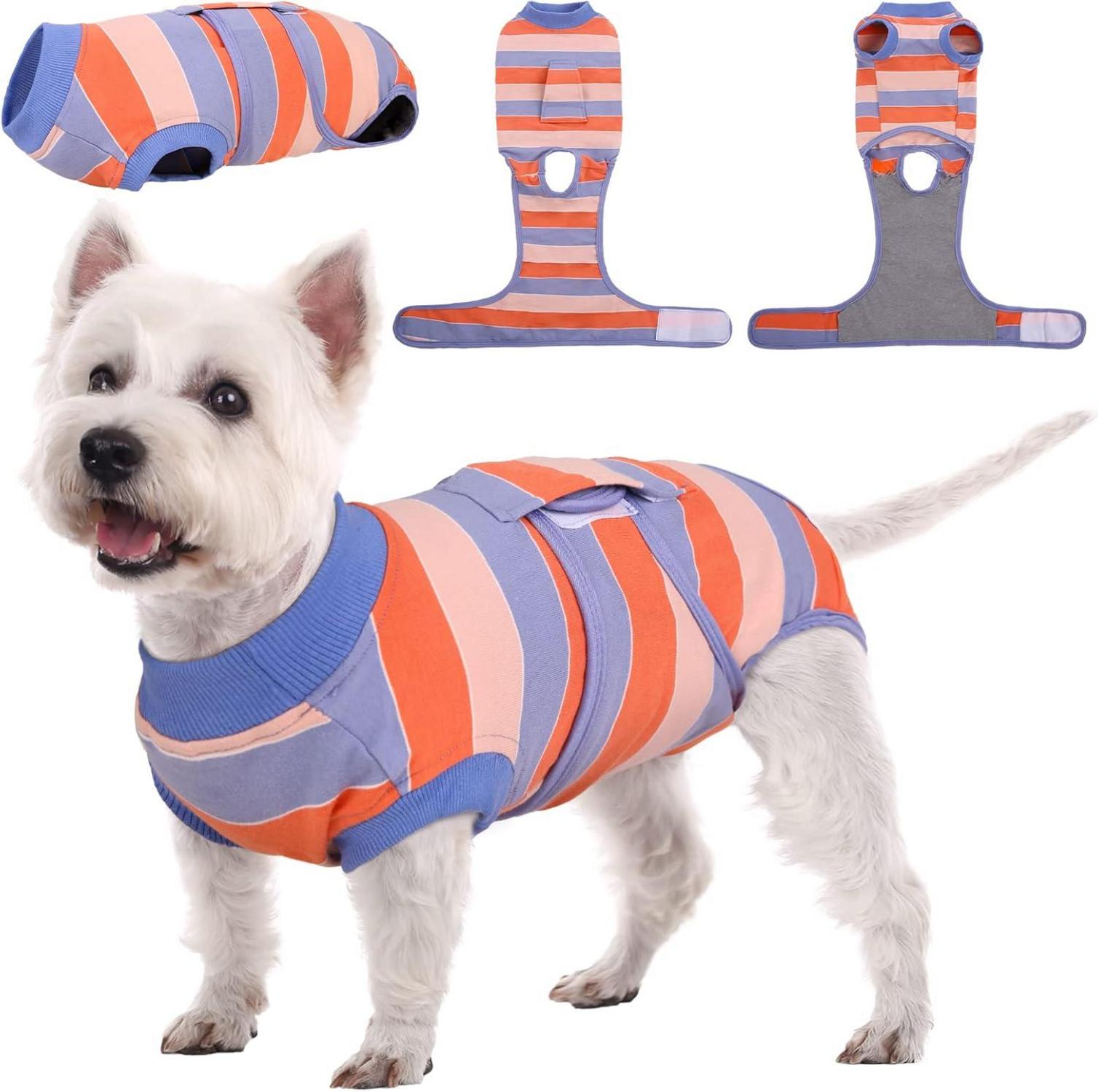 Hundebody Nach Op Kastration Rüde Op Hündin Orange Blau
