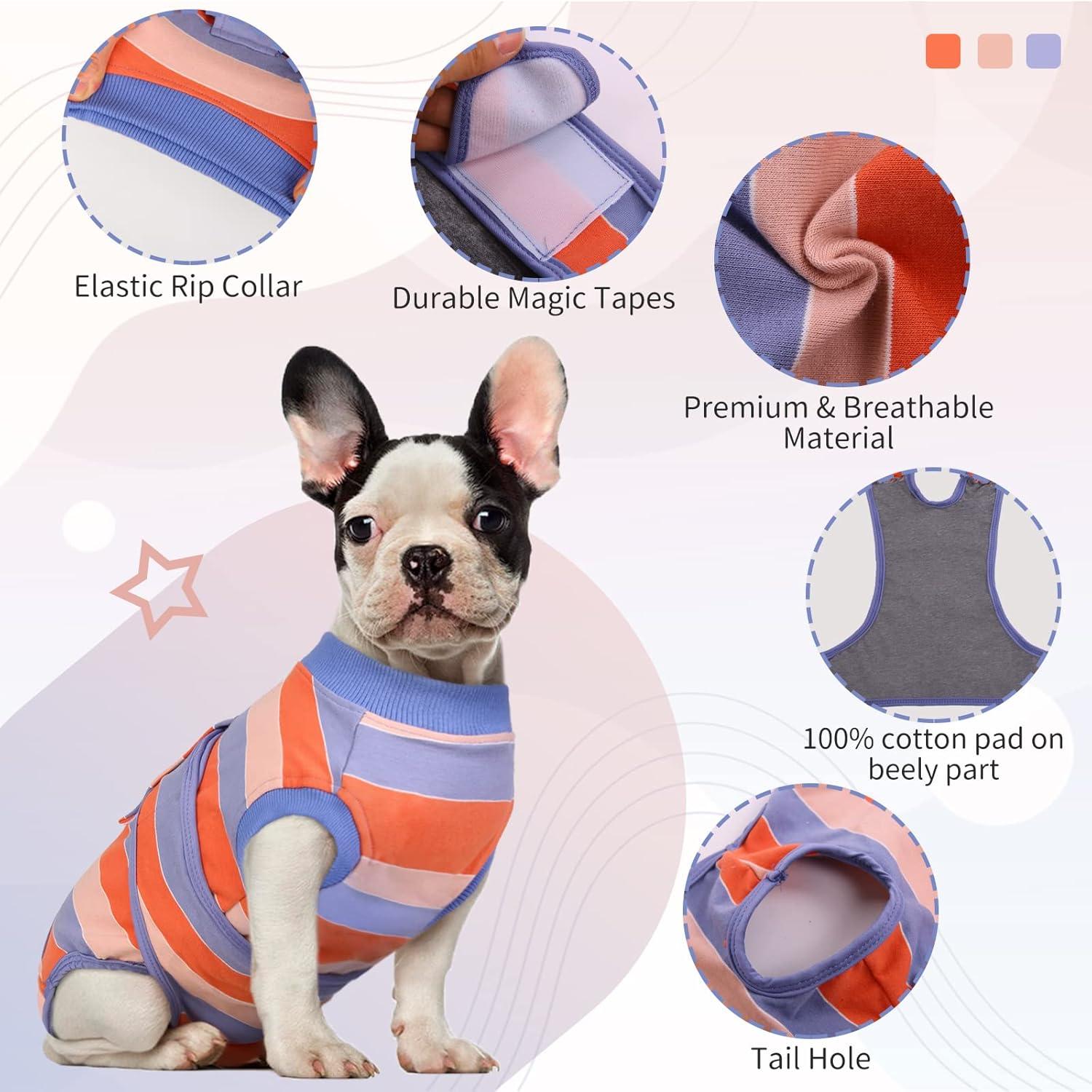 Hundebody Nach Op Kastration Rüde Op Hündin Orange Blau