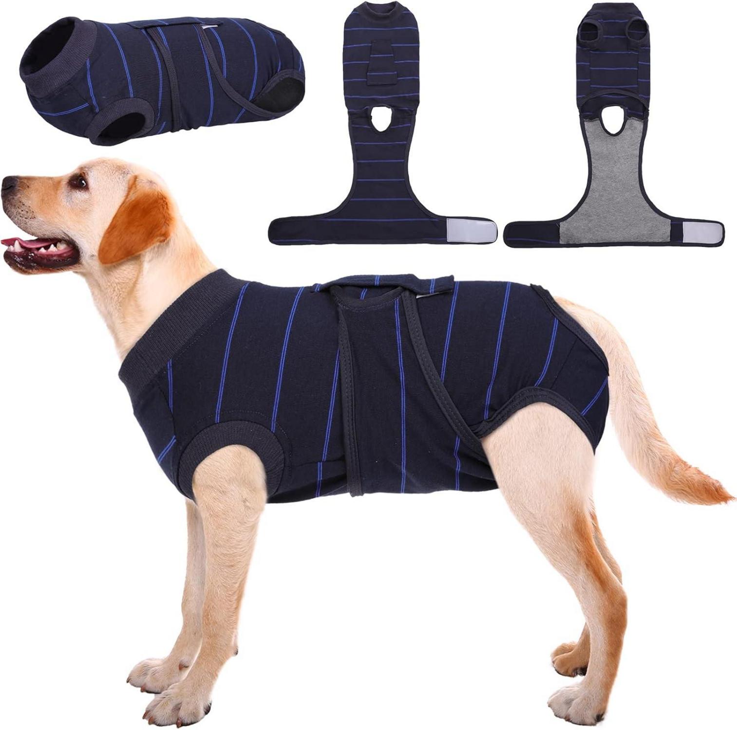 Hundebody für nach OP und Kastration, atmungsaktiver Anzug, königsblau
