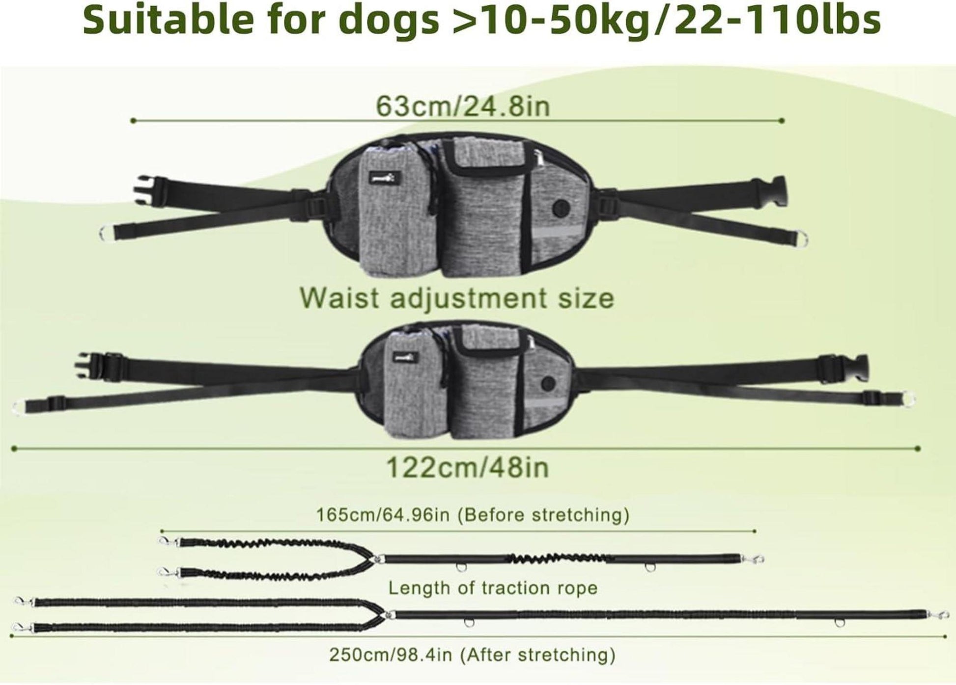 Zweifache Joggingleine für große und mittelgroße Hunde