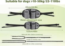 Zweifache Joggingleine für große und mittelgroße Hunde