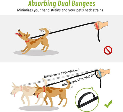 Zwei Joggingleine Hunde mit Bauchgurt, Laufgürtel