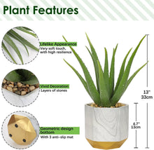 Kunstpflanze Aloe Vera im Keramiktopf 33cm - Deko