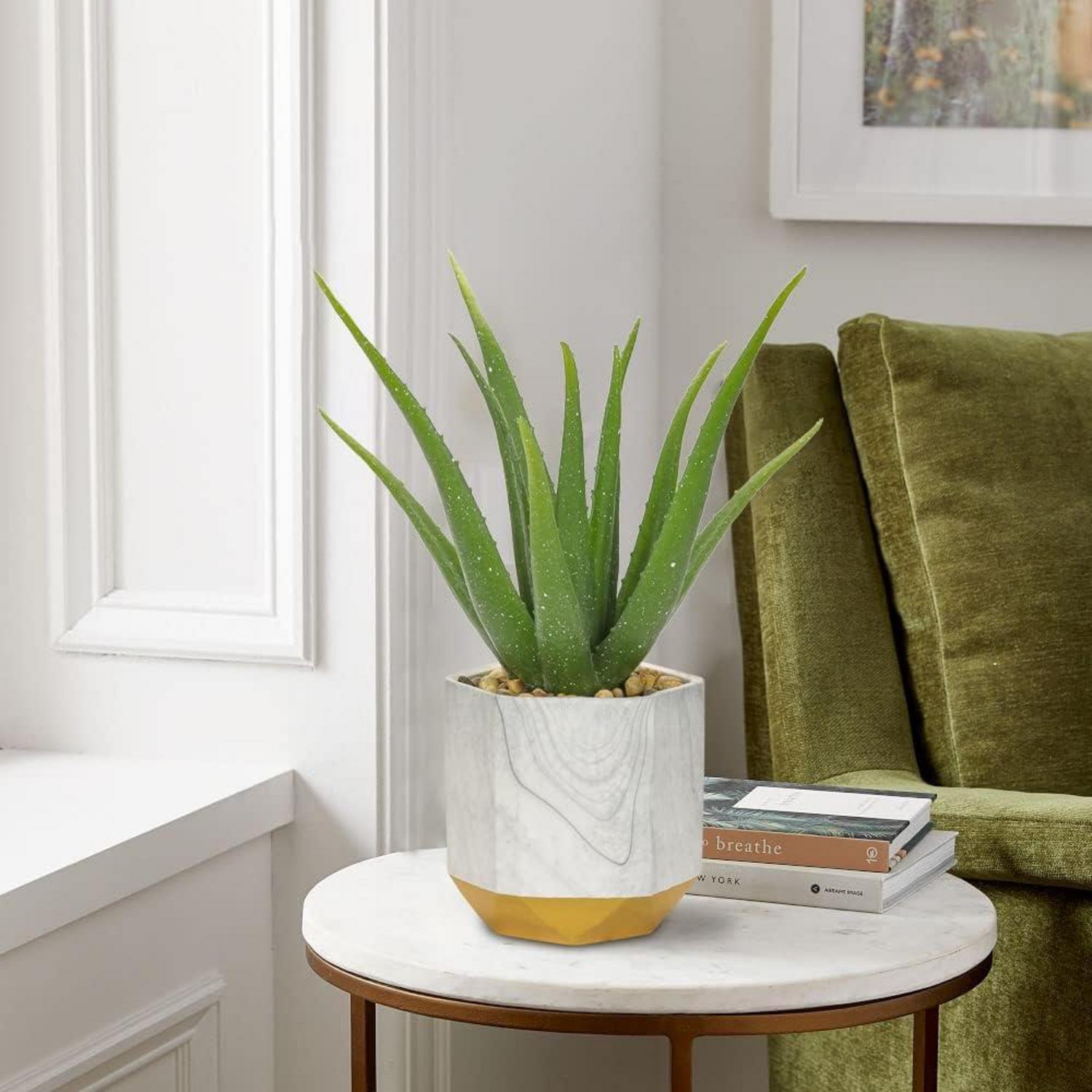 Künstliche Aloe Vera Kunstpflanze im Keramiktopf 33cm Deko