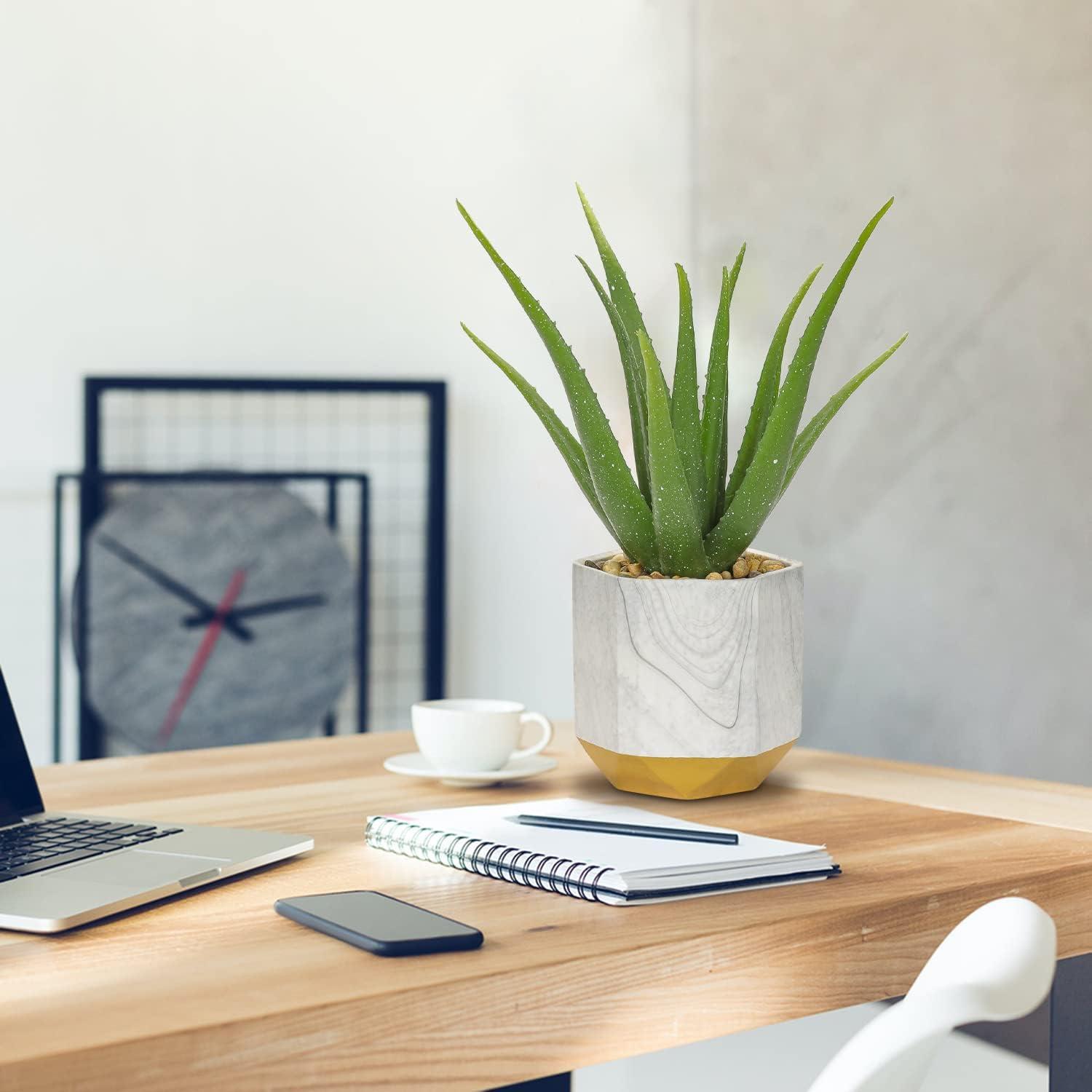 Kunstpflanze Aloe Vera im Keramiktopf Dekopflanze 33cm