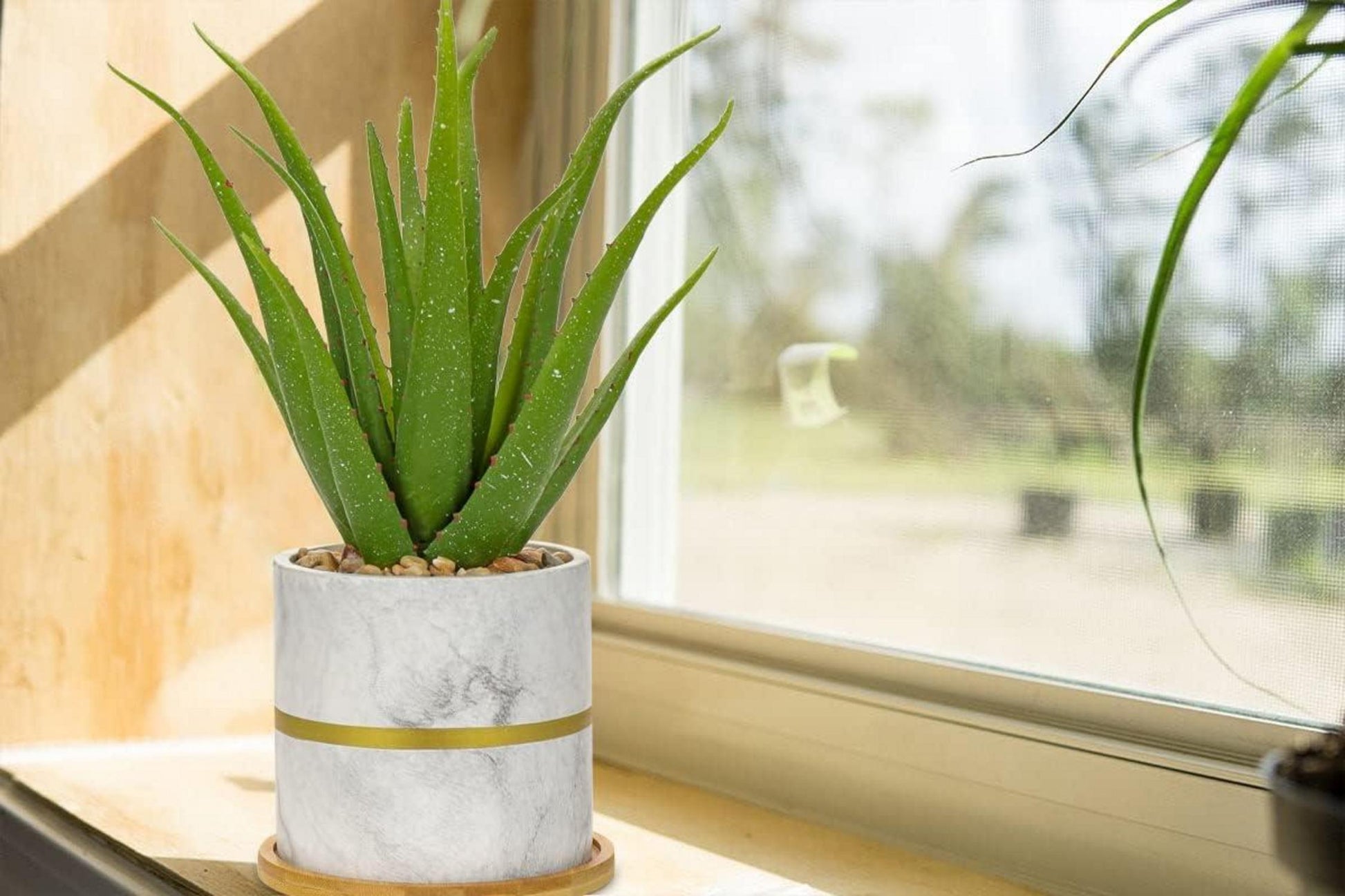 Kunstpflanze Aloe Vera im Keramiktopf 35cm
