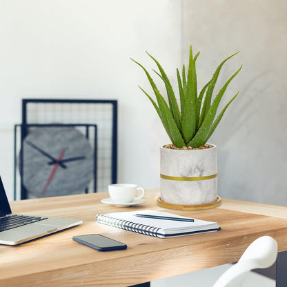 Künstliche Aloe Vera Kunstpflanze im Keramiktopf Deko 35cm