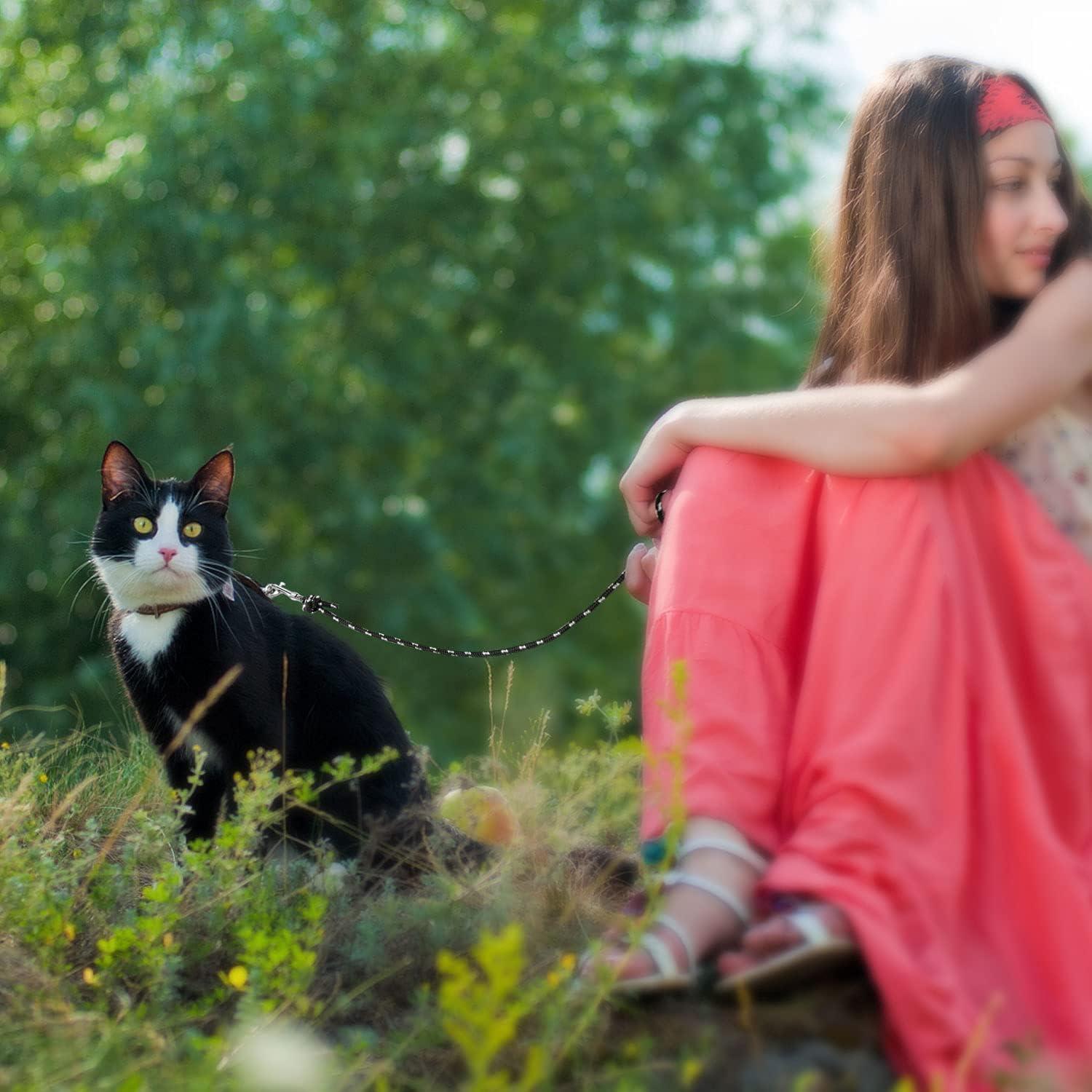 Reflektierende Lange Leine für Katzen 4.5M Entfliehungssichere