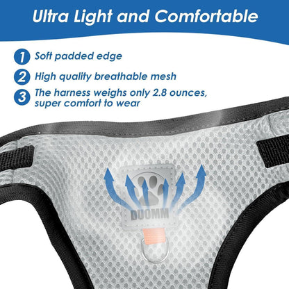 Katzen Geschirr Set mit Ausbruchsicherem Design und