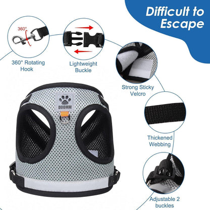 Katzen Geschirr Set mit Ausbruchsicherem Design und