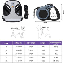 Katzen Geschirr Set mit Ausbruchsicherem Design und