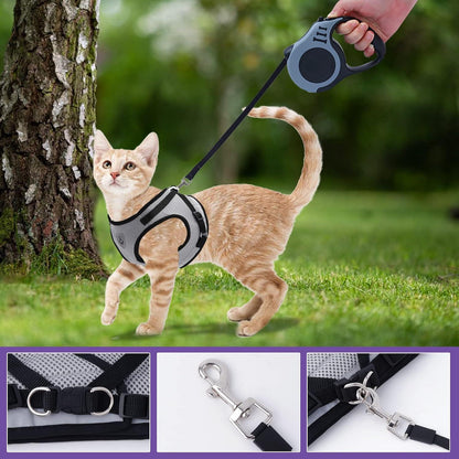 Katzen Geschirr Set mit Leine Ausbruchsicher und Nachtreflektor