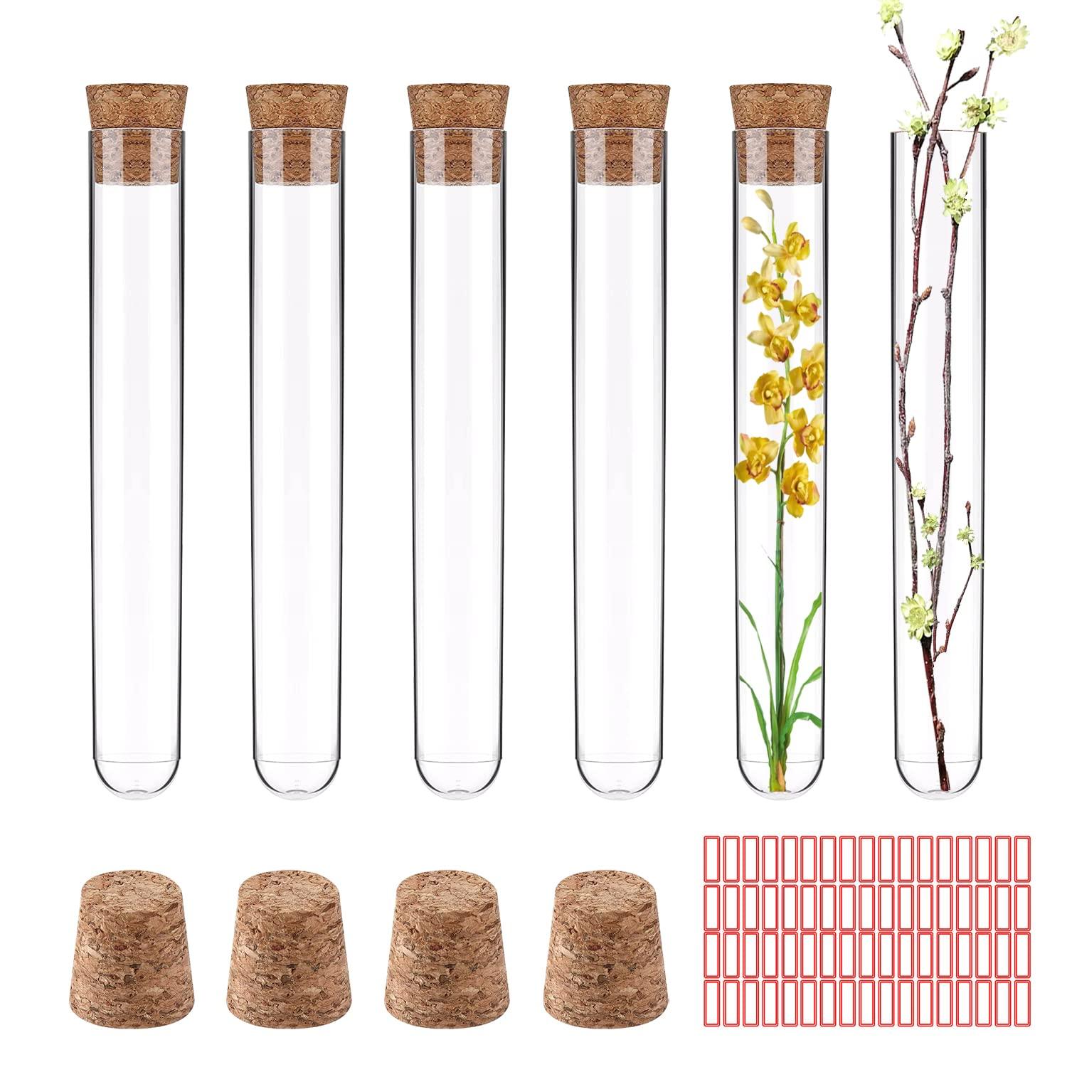 24er Set Kunststoff Reagenzgläser mit Korken 10mlTransparent