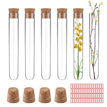 24er Set Kunststoff Reagenzgläser mit Korken 10mlTransparent