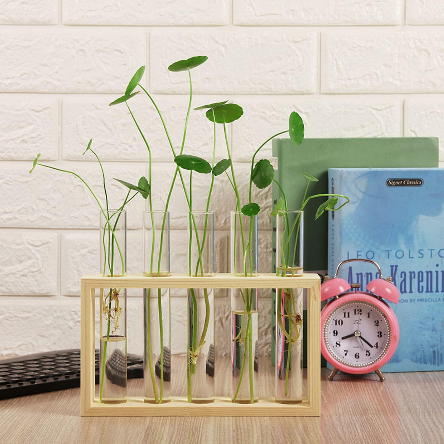 24x Kunststoff Reagenzgläser mit Korken 10ml transparent Badebomben Blumen