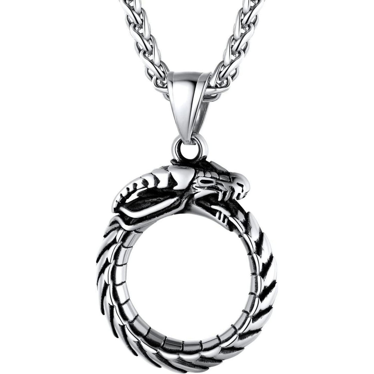 Herren Halskette Edelstahl mit Drachen Ouroboros Anhänger Wikinger Stil