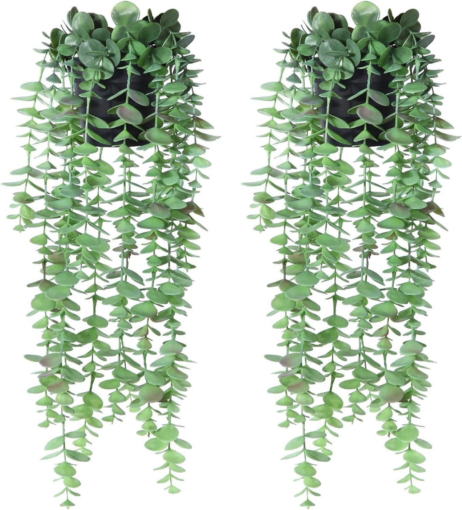 Künstlicher Eukalyptus Hängepflanze im Topf - 2er Set