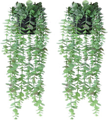 Künstlicher Eukalyptus Hängepflanze im Topf - 2er Set
