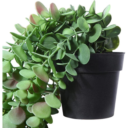 Künstlicher Eukalyptus im Topf, 50cm, Wanddeko, 1 Stück