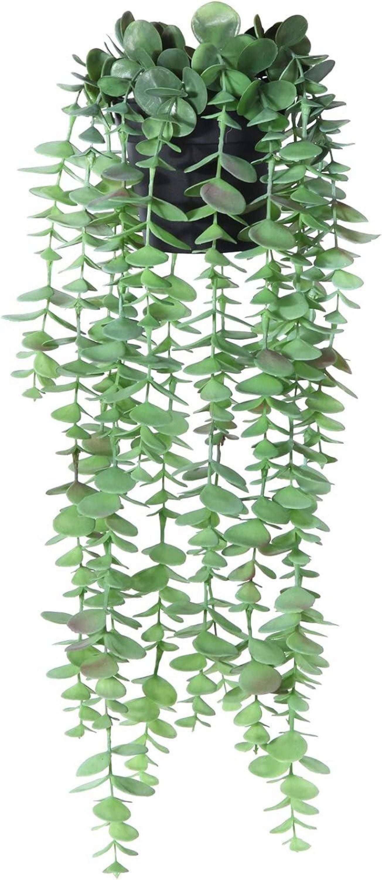 Künstlicher Eukalyptus Hängepflanze im Topf 50 cm