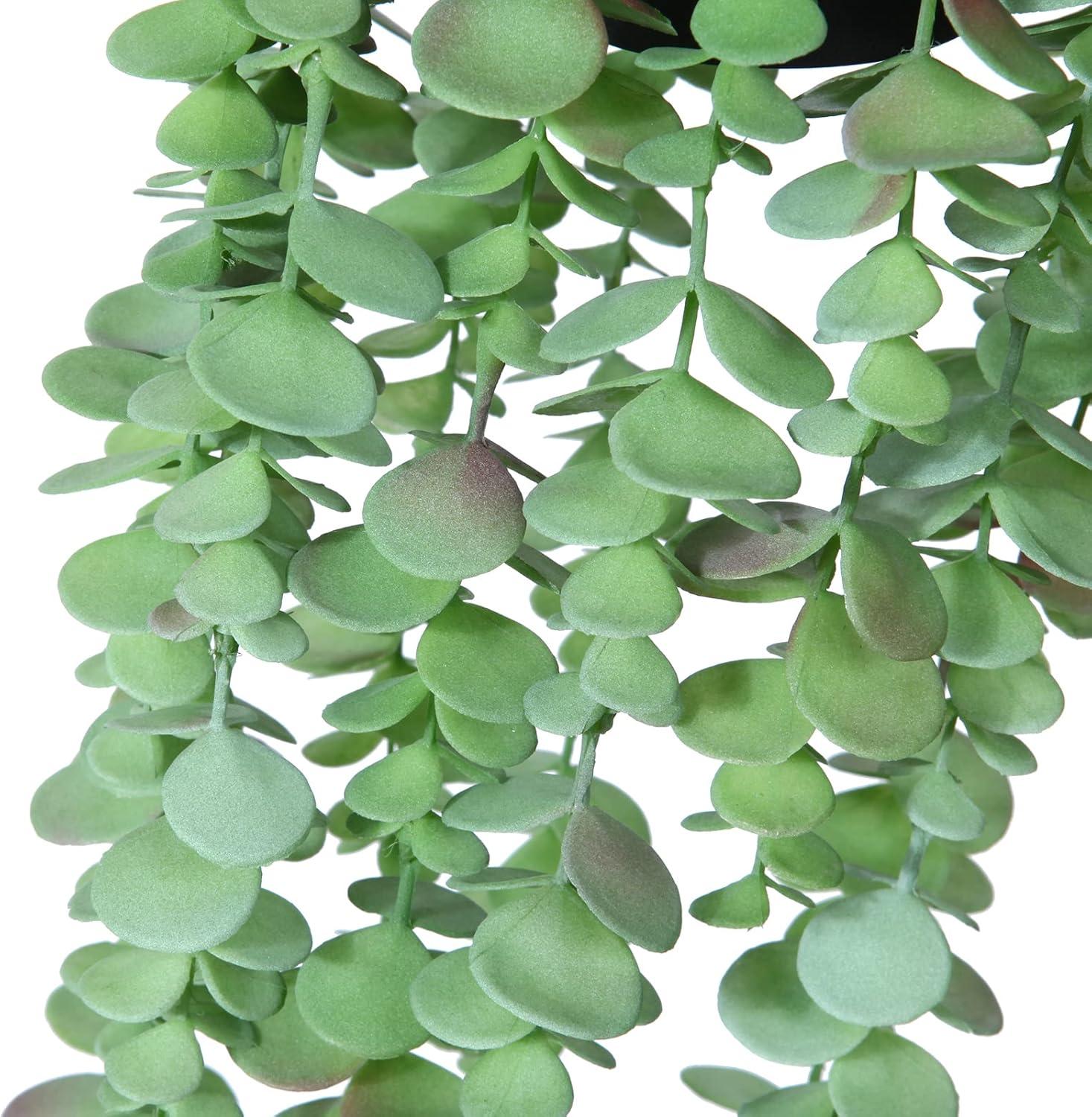Künstlicher Eukalyptus Hängepflanze im Topf für Wand Dekoration