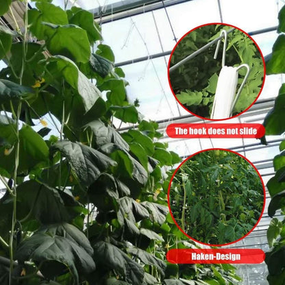 Tomatenhaken mit Schnur,18 Stück Tomatenhaken Metall mit 18 Pflanzenschnalle und 15m Seil