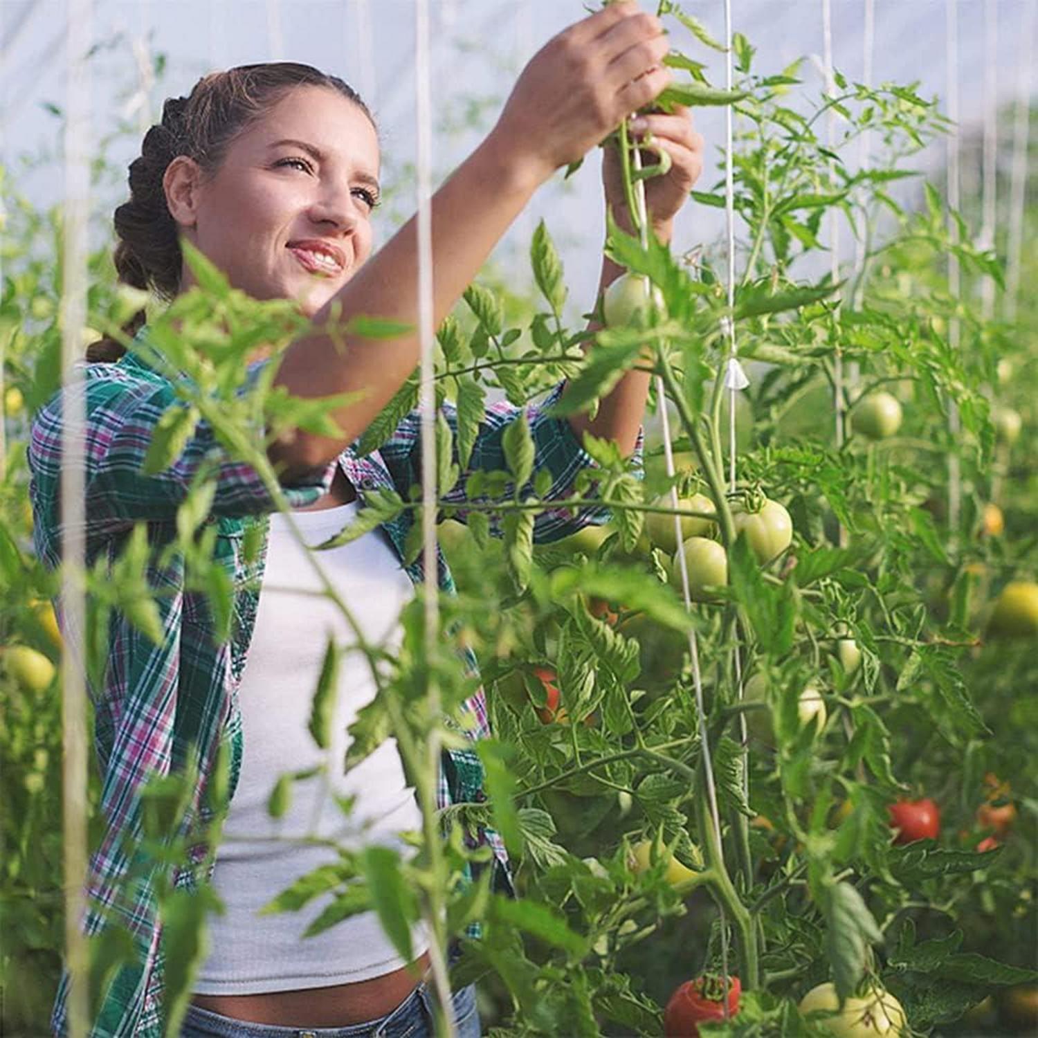 Tomatenhaken mit Schnur Metall Pflanzenschnalle 18er Set 15m