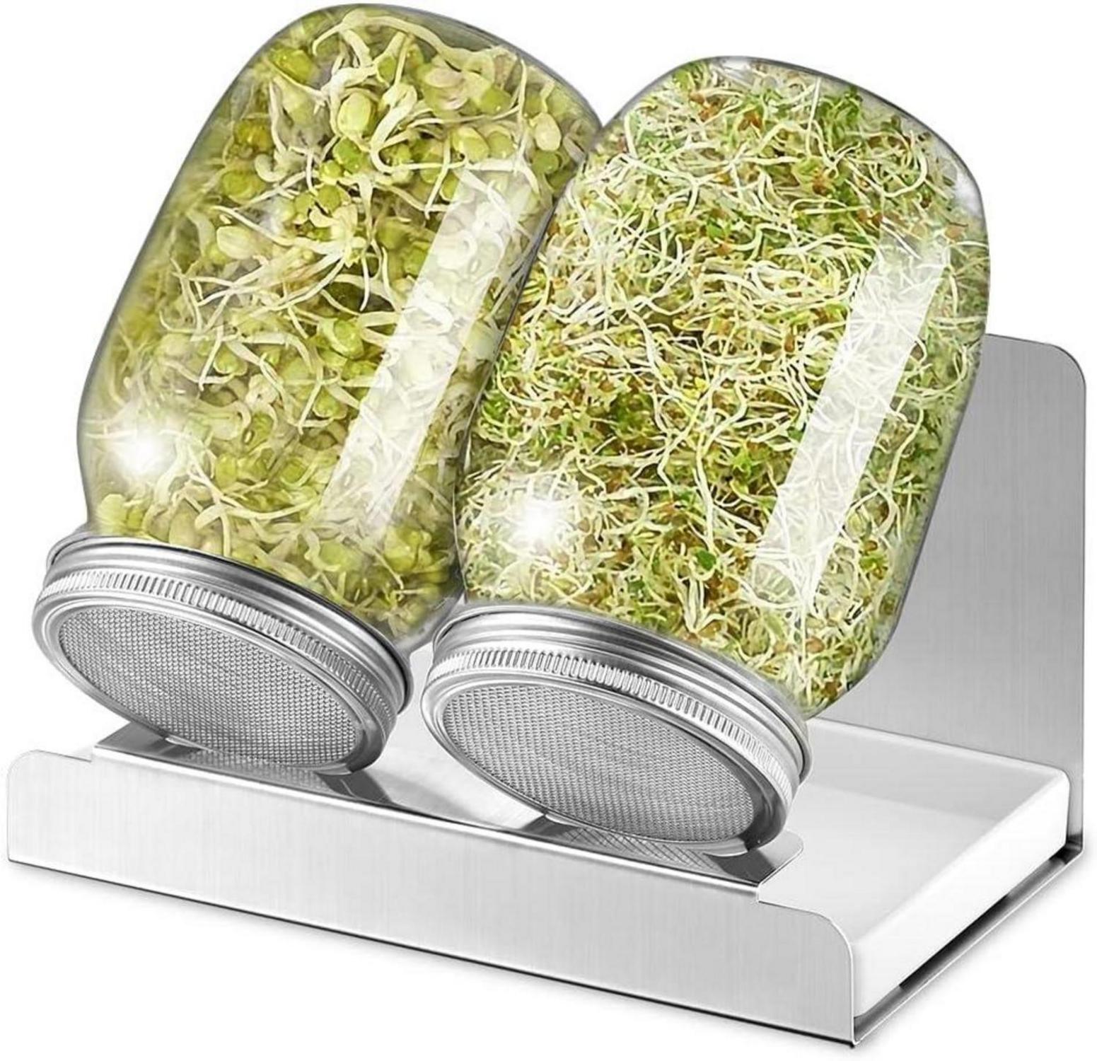 Sprossen Keimglas 1000ml Sprouting jar Glas mit Filterdeckel & Ständer