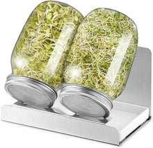 Sprossen Keimglas 1000ml Sprouting jar Glas mit Filterdeckel & Ständer