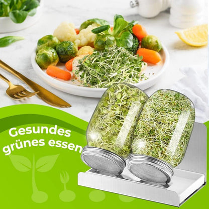 Sprossen Keimglas 1000ml 2er Sprouting Jar Glas Filtergitter Edelstahl